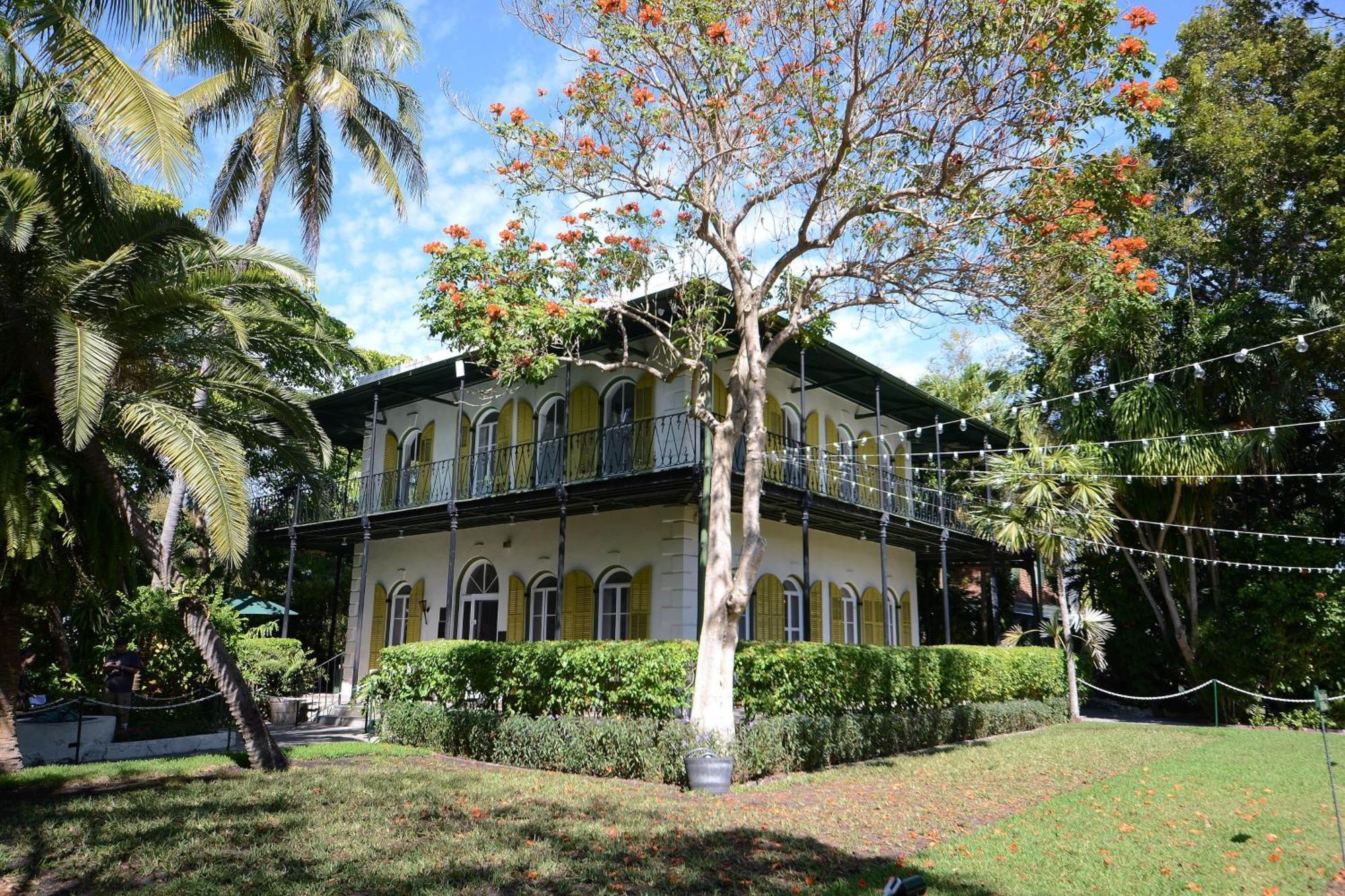 Four Flowers Guesthouse Key West Værelse billede